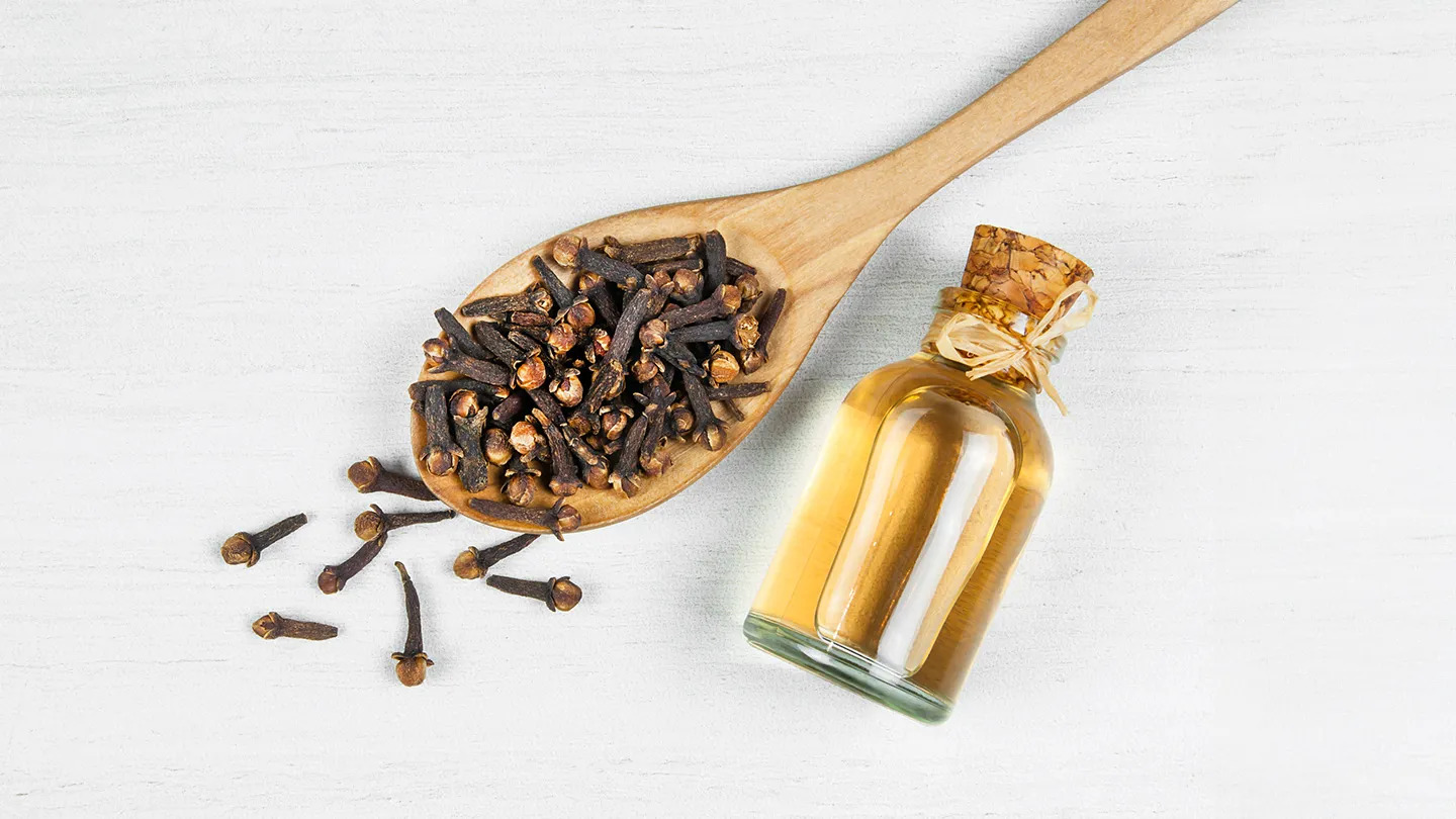Chuột sợ nhất những m&ugrave;i n&agrave;y: To&agrave;n thứ quen thuộc, nhiều nh&agrave; c&oacute; sẵn- Ảnh 3.