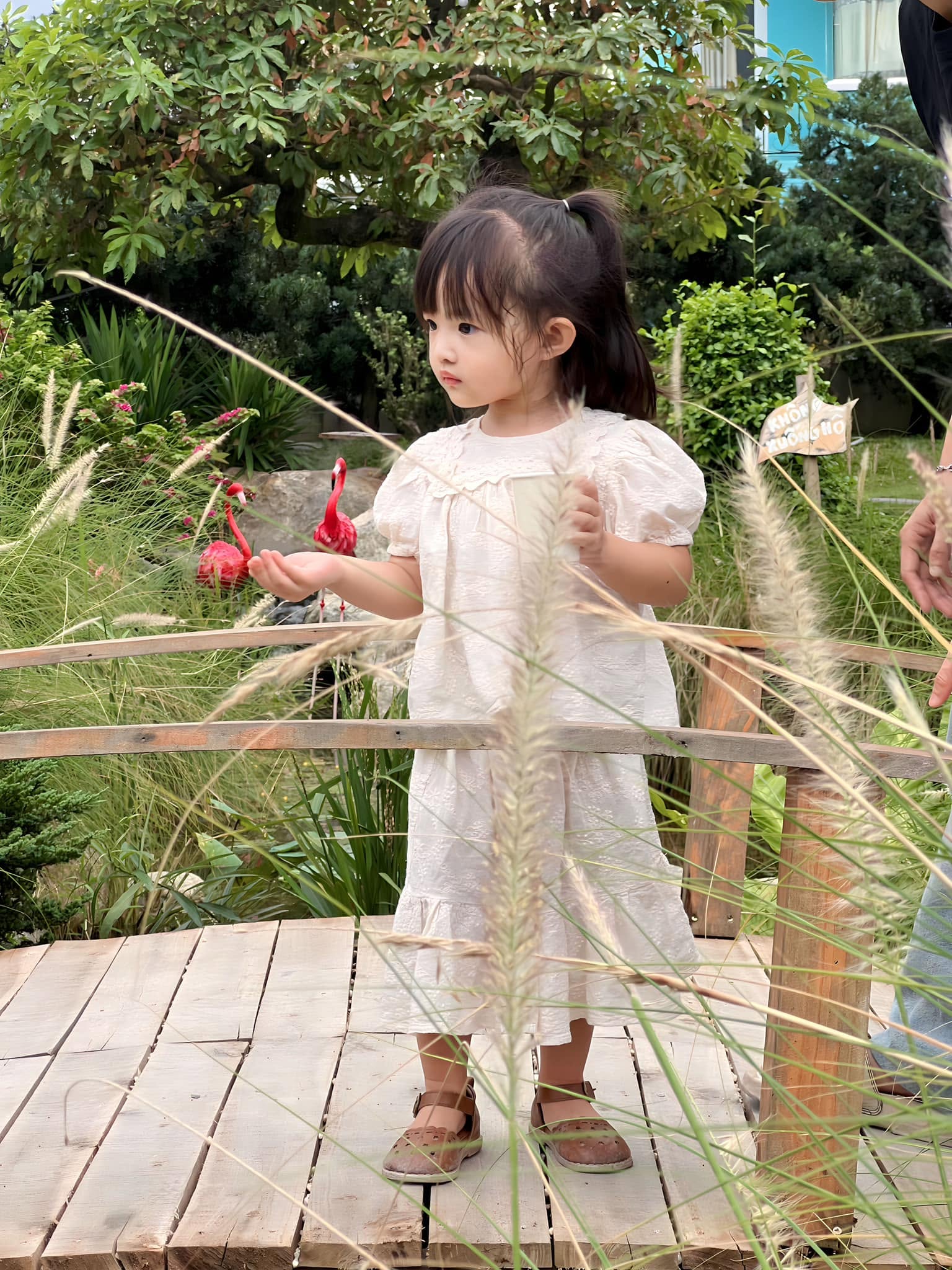 Em b&eacute; Vbiz vừa sinh đ&atilde; c&oacute; bức ảnh 1,5 triệu like: Tiểu thư tập đo&agrave;n nhựa, lớn l&ecirc;n xinh như Chương Nhược Nam- Ảnh 5.