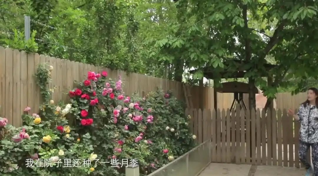 Căn biệt thự của nữ diễn vi&ecirc;n qu&aacute; cố Ch&acirc;u Hải My được rao b&aacute;n với gi&aacute; 117 tỷ đồng- Ảnh 8.