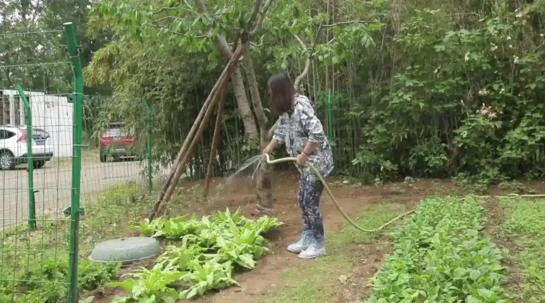 Căn biệt thự của nữ diễn vi&ecirc;n qu&aacute; cố Ch&acirc;u Hải My được rao b&aacute;n với gi&aacute; 117 tỷ đồng- Ảnh 9.