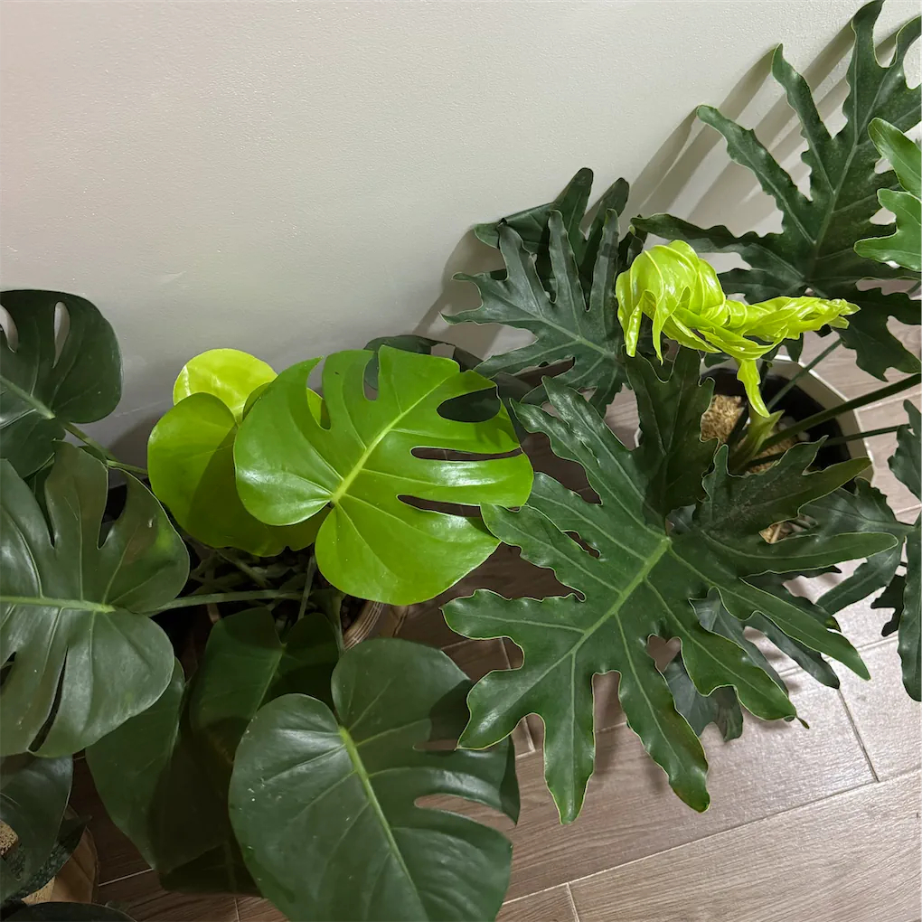 Lương 15 triệu/th&aacute;ng, cặp đ&ocirc;i ở H&agrave; Nội chọn thu&ecirc; nh&agrave; 9 triệu thay v&igrave; căn 6,5 triệu: Đằng sau l&agrave; một ph&eacute;p t&iacute;nh kh&aacute;c- Ảnh 5.