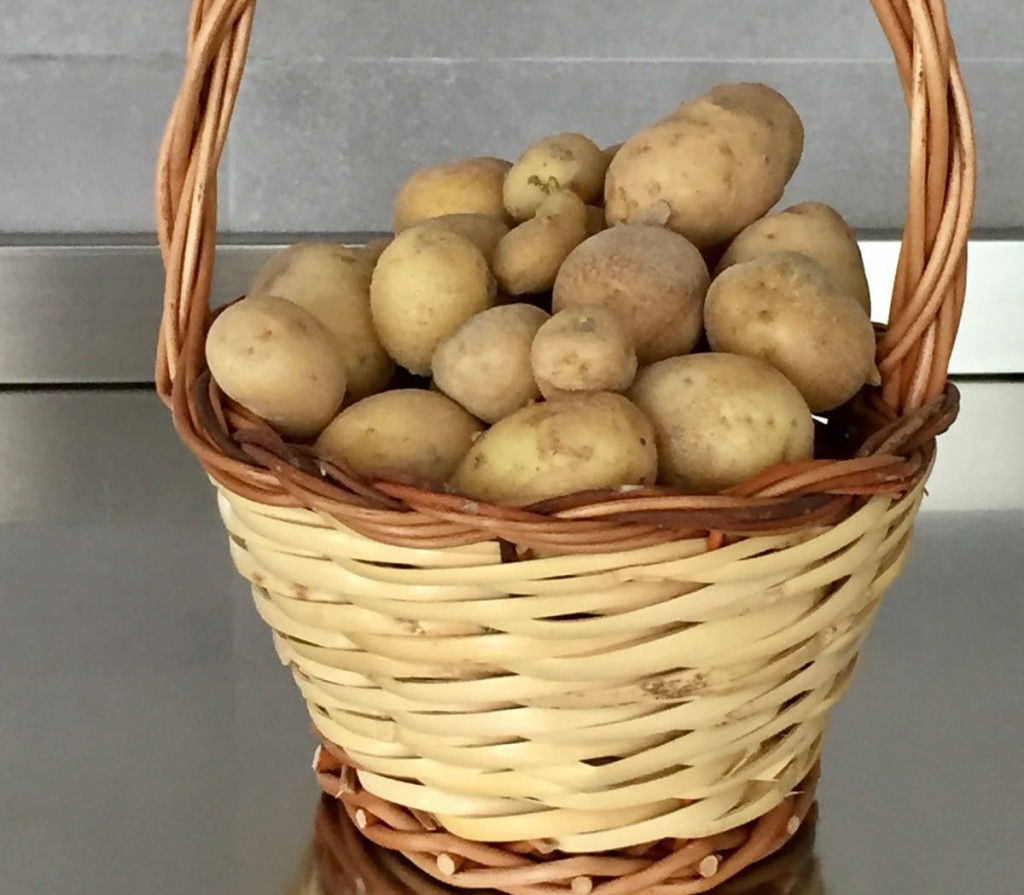 5 thực phẩm vứt bừa ở g&oacute;c nh&agrave; c&ograve;n tốt hơn cho v&agrave;o tủ lạnh v&igrave; c&agrave;ng nhanh hỏng, sinh &ldquo;mầm bệnh&rdquo; - Ảnh 2.