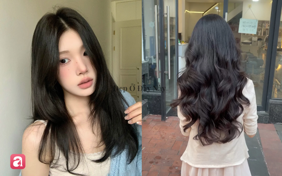 5 dầu gội "made in Vietnam" d&agrave;nh cho t&oacute;c bết: L&agrave;m sạch da đầu, giảm dầu, giữ t&oacute;c tơi phồng- Ảnh 1.