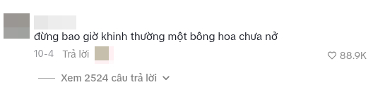 Trend &ldquo;Đừng bao giờ khinh thường một b&ocirc;ng hoa chưa nở&rdquo; oanh tạc MXH: Nh&igrave;n ảnh trước v&agrave; sau mới hiểu c&acirc;u n&oacute;i n&agrave;y - Ảnh 1.