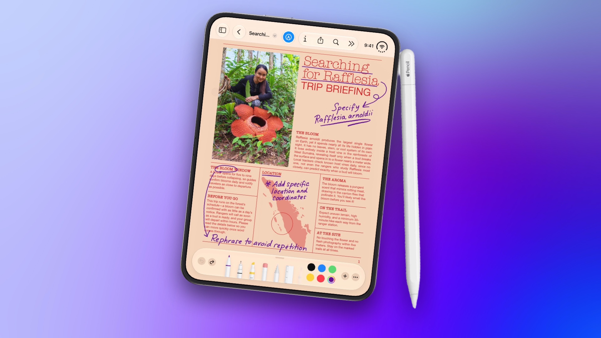 Apple ph&aacute;t h&agrave;nh iOS 27.2: Hỗ trợ Apple Pencil cho iPhone Duo, Siri AI th&ecirc;m 5 ng&ocirc;n ngữ nhưng vẫn kh&ocirc;ng c&oacute; tiếng Việt- Ảnh 2.