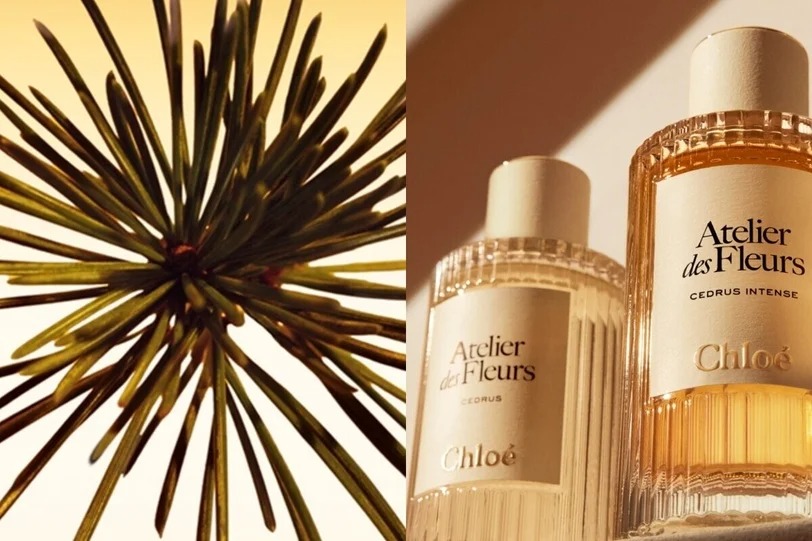 Từ Chanel đến Dior: 8 chai nước hoa mang vibe sang, t&ocirc;n kh&iacute; chất, hợp để diện m&ugrave;a cuối năm- Ảnh 10.