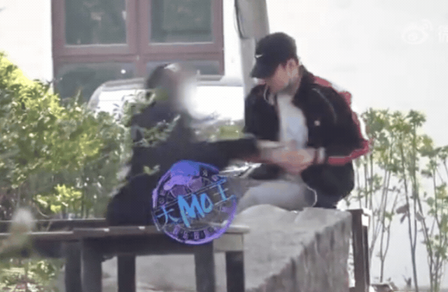 Đang n&oacute;ng clip nam diễn vi&ecirc;n bị gh&eacute;t nhất showbiz c&atilde;i v&atilde; với người y&ecirc;u giữa phố, nh&agrave; g&aacute;i k&iacute;ch động đến mức quỳ gối cầu xin- Ảnh 2.