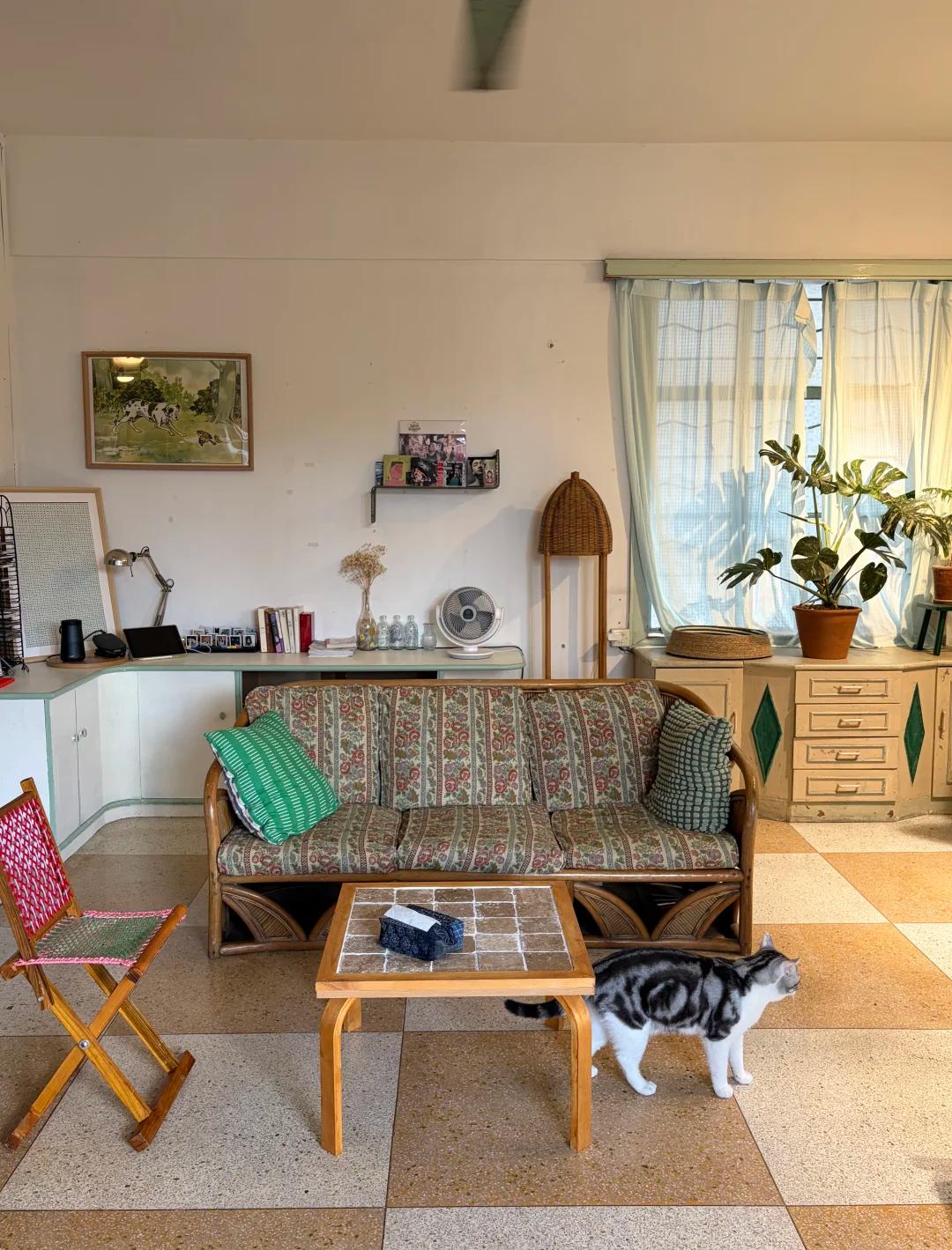 Bỏ căn hộ 50m² để chuyển vào nhà tập thể cũ 160m², ở một thời gian chủ nhà phải thốt lên: Như này mới là đáng sống! - Ảnh 3.