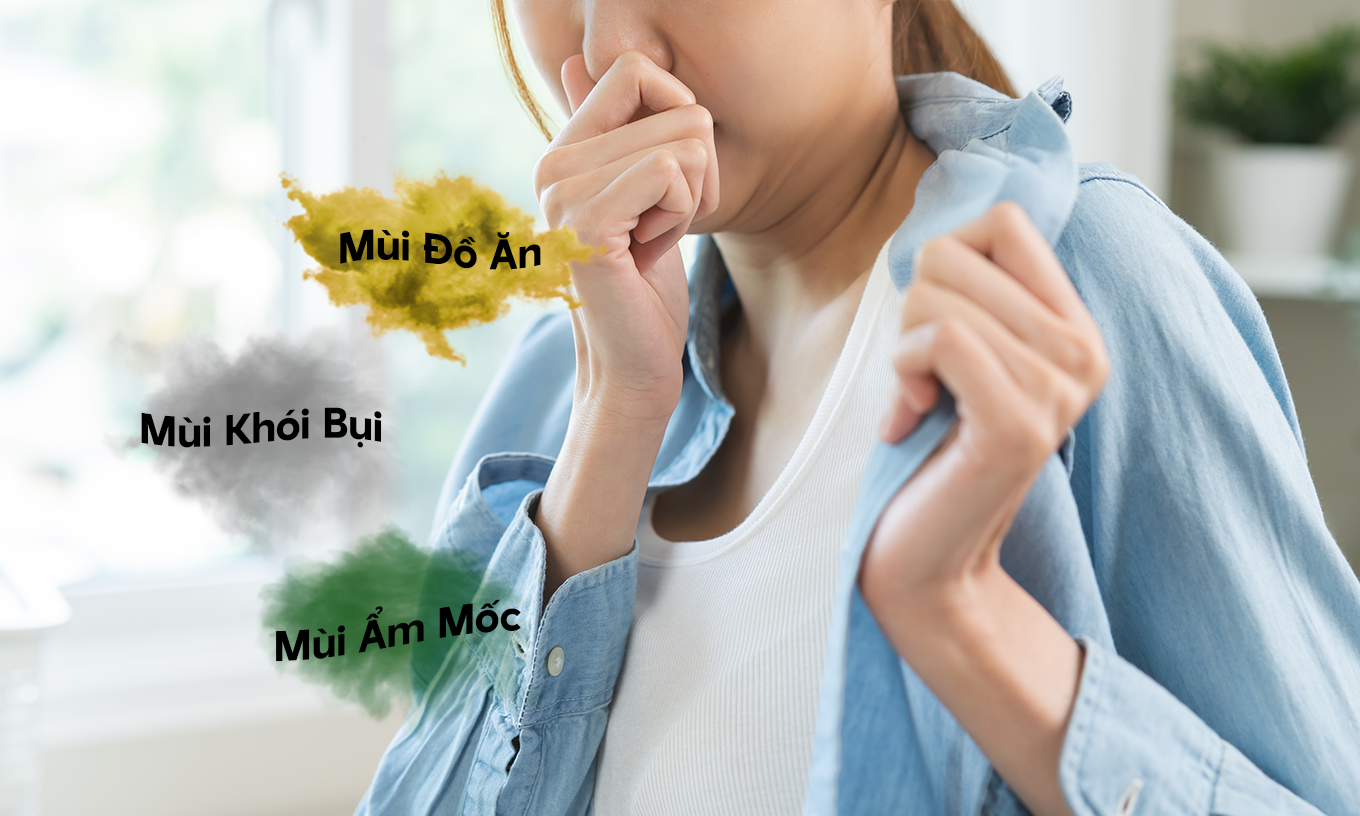 Bộ 3 Hygiene Vietnam: Bí quyết giữ trang phục chỉn chu, thơm ngát suốt ngày dài - Ảnh 2.