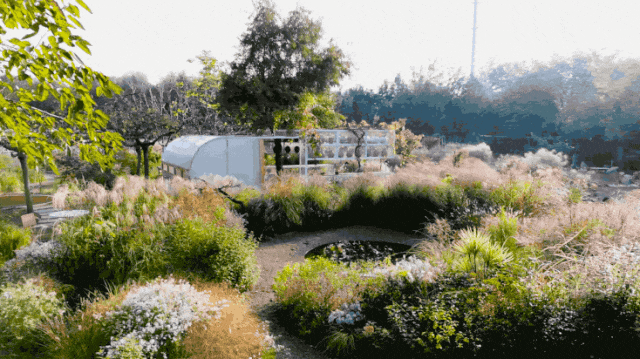 Gần 40 tuổi, người phụ nữ bỏ việc để thu&ecirc; hơn 10.000m&sup2; đất hoang: 4 năm sau, nơi n&agrave;y th&agrave;nh khu vườn khiến nhiều người ao ước - Ảnh 2.