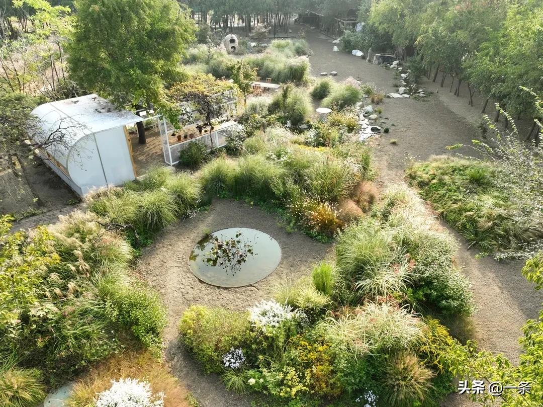 Gần 40 tuổi, người phụ nữ bỏ việc để thu&ecirc; hơn 10.000m&sup2; đất hoang: 4 năm sau, nơi n&agrave;y th&agrave;nh khu vườn khiến nhiều người ao ước - Ảnh 11.