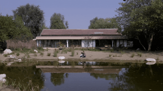 Gần 40 tuổi, người phụ nữ bỏ việc để thu&ecirc; hơn 10.000m&sup2; đất hoang: 4 năm sau, nơi n&agrave;y th&agrave;nh khu vườn khiến nhiều người ao ước - Ảnh 17.