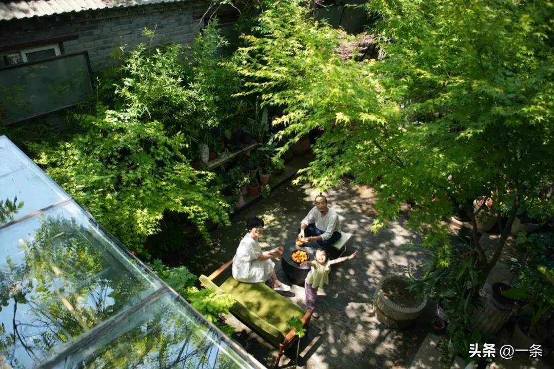 Gần 40 tuổi, người phụ nữ bỏ việc để thu&ecirc; hơn 10.000m&sup2; đất hoang: 4 năm sau, nơi n&agrave;y th&agrave;nh khu vườn khiến nhiều người ao ước - Ảnh 8.
