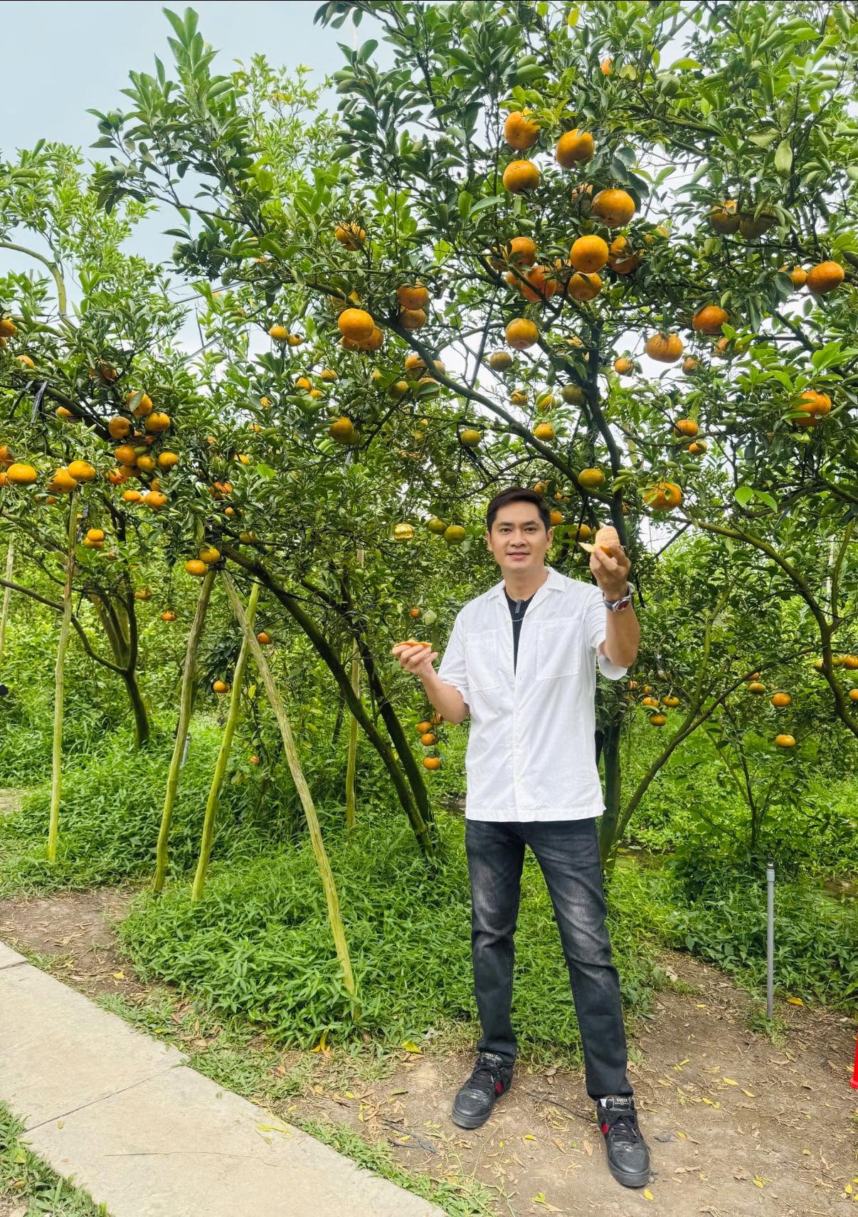 Nam diễn vi&ecirc;n th&ocirc;i chức l&atilde;nh đạo, bỏ phố về Đồng Th&aacute;p sống trong nh&agrave; vườn 20.000 m2- Ảnh 6.