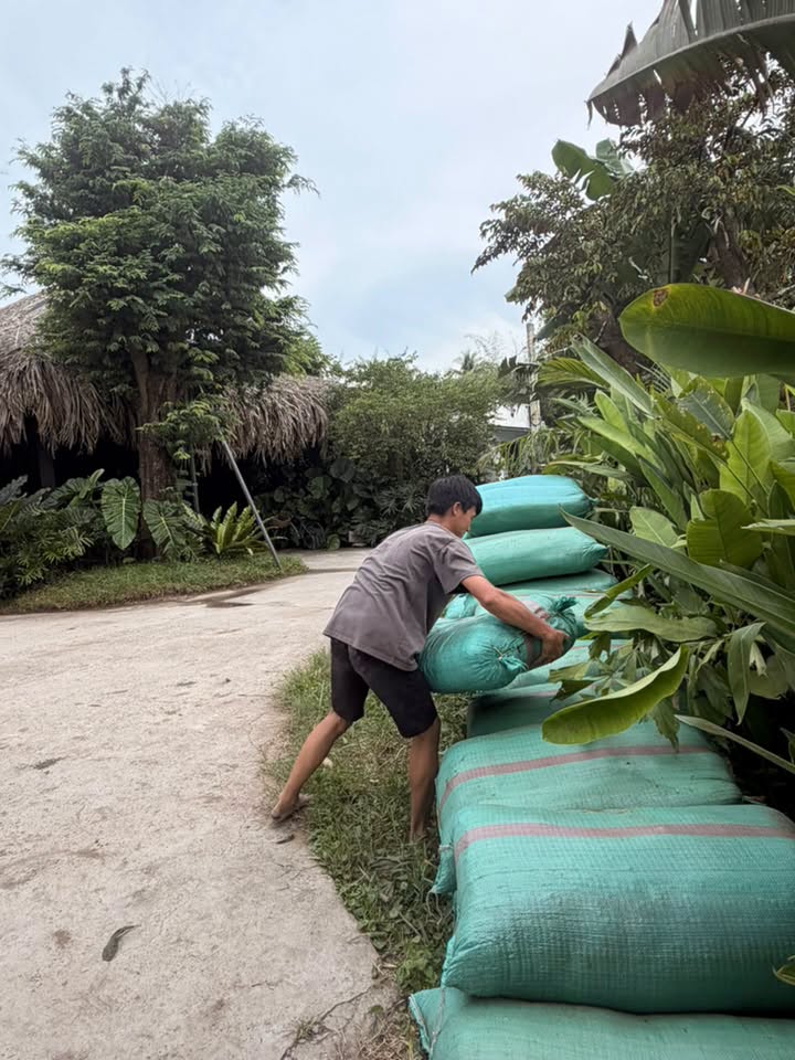 Mẹ đơn th&acirc;n Ph&uacute; Thọ lấy chồng thiếu gia: Sống trong resort ngh&igrave;n tỷ nhưng kh&ocirc;ng khoe đồng hồ, xe sang m&agrave; lại say sưa review ph&acirc;n b&oacute;n- Ảnh 6.