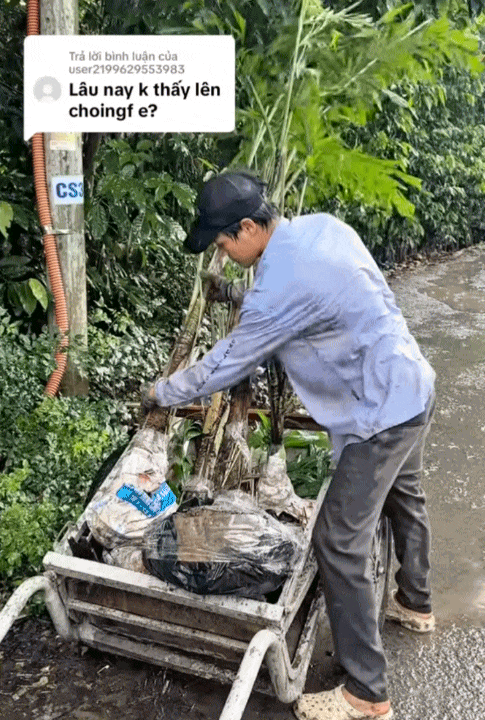 Mẹ đơn th&acirc;n Ph&uacute; Thọ lấy chồng thiếu gia: Sống trong resort ngh&igrave;n tỷ nhưng kh&ocirc;ng khoe đồng hồ, xe sang m&agrave; lại say sưa review ph&acirc;n b&oacute;n- Ảnh 9.