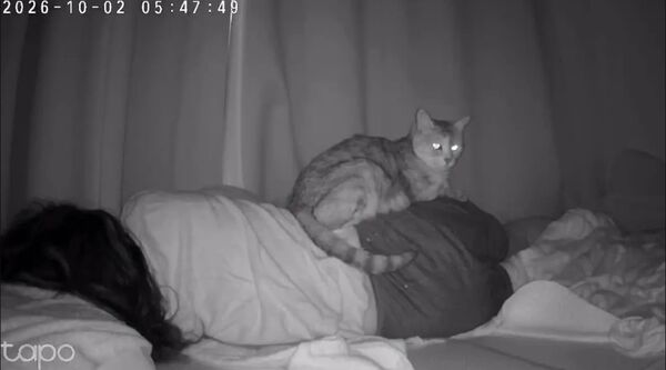 Suốt 13 năm cứ ngủ dậy l&agrave; đau lưng, người đ&agrave;n &ocirc;ng lắp camera th&igrave; ph&aacute;t hiện sự thật si&ecirc;u bất ngờ- Ảnh 1.