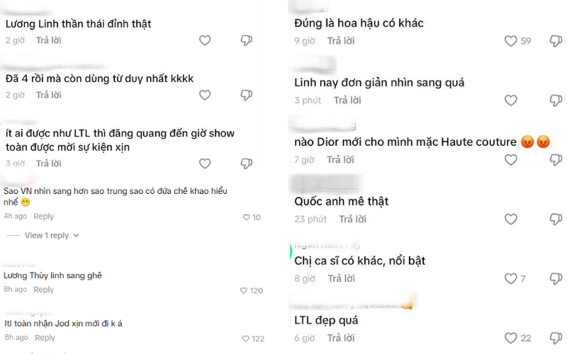 Nhiều bình luận khen Lương Thùy Linh- Ảnh 4.
