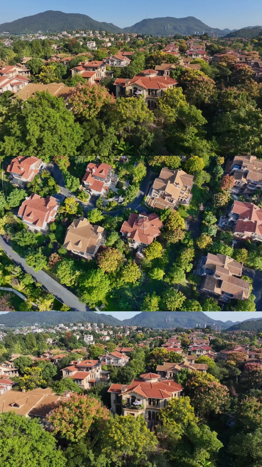 Thu&ecirc; biệt thự 1.000m2 gi&aacute; 48 triệu/th&aacute;ng để sống: Đặt mục ti&ecirc;u trải nghiệm 100 căn nh&agrave;- Ảnh 2.