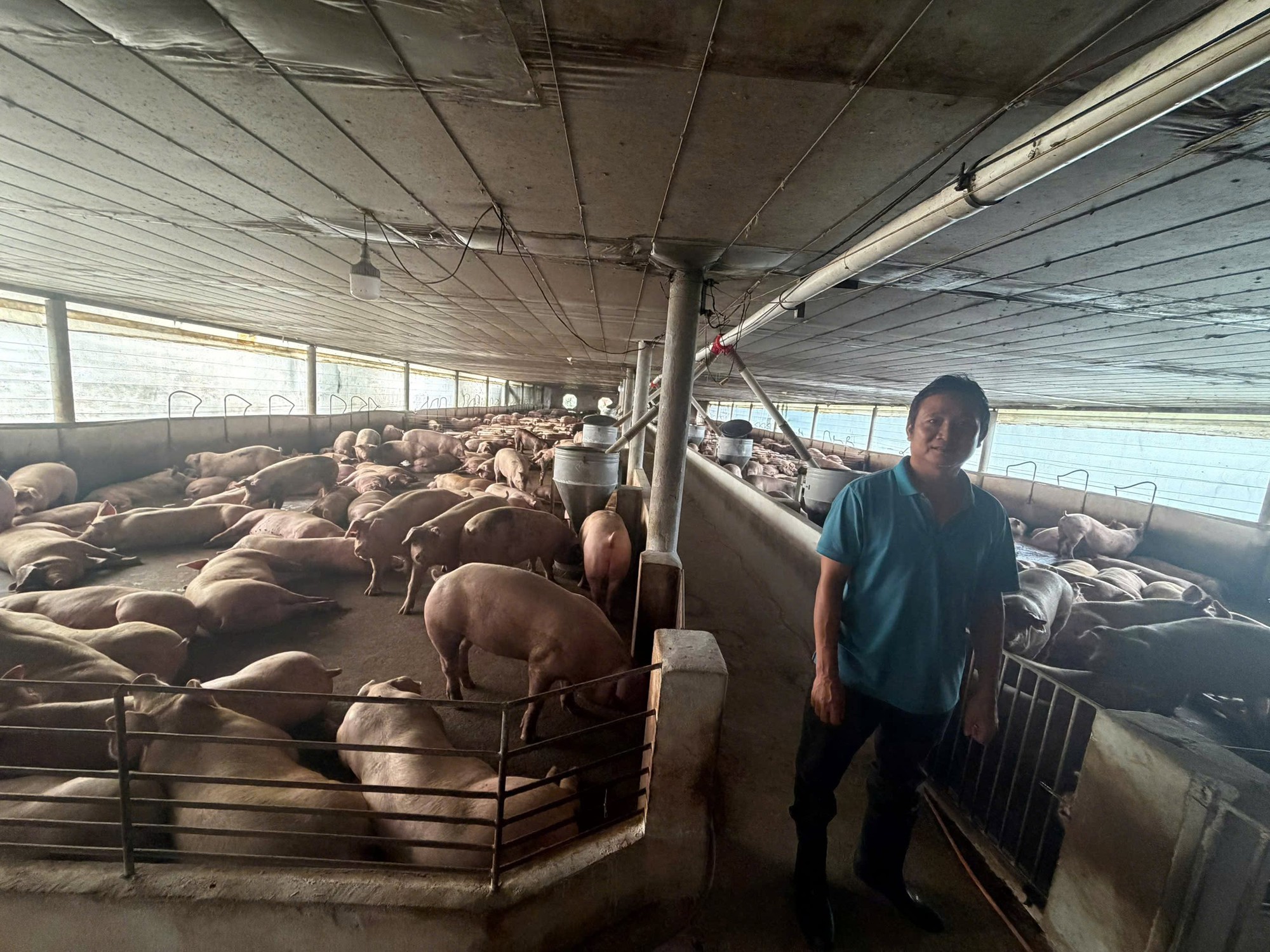 Triệt ph&aacute; đường d&acirc;y tuồn 10.000 tấn heo chứa chất cấm Salbutamol v&agrave;o si&ecirc;u thị, trường học ở TP.HCM v&agrave; nhiều tỉnh th&agrave;nh: Bắt tạm giam Nguyễn Thị Trinh Nữ SN 1989- Ảnh 3.