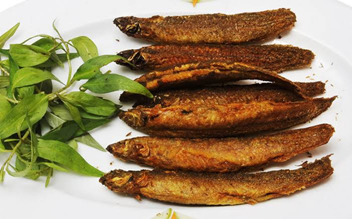 Loại c&aacute; thế giới v&iacute; như "s&acirc;m nước", h&oacute;a ra chợ Việt b&aacute;n đầy - Ảnh 2.