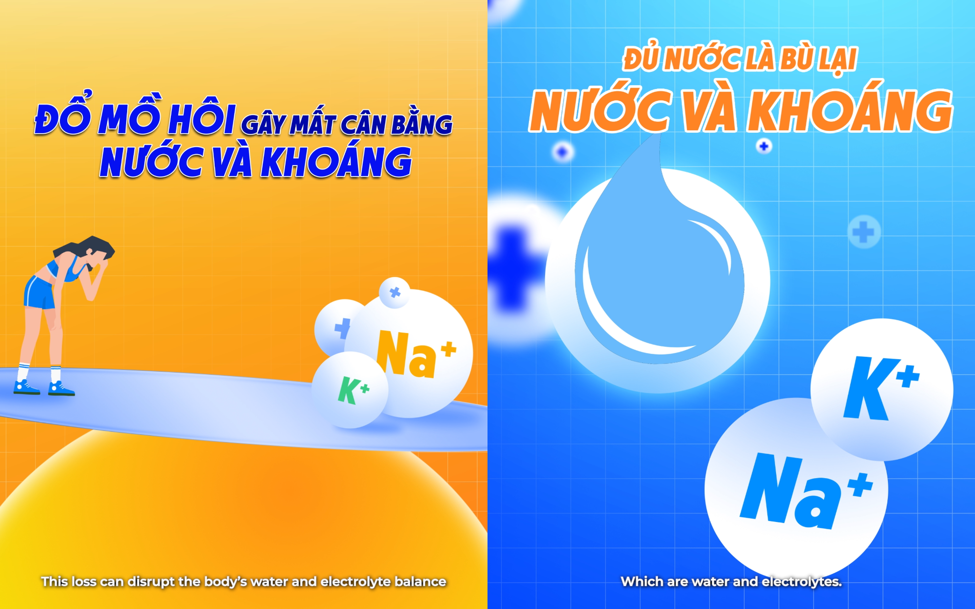 Revive Thể Thao: Bí quyết nâng cao sức bền, bứt phá giới hạn của các tuyển thủ quốc gia - Ảnh 2.