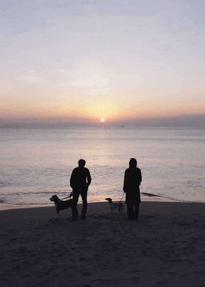 Chuyện t&igrave;nh 25 năm trong căn nh&agrave; gỗ ven biển: Hạnh ph&uacute;c h&oacute;a ra kh&ocirc;ng nằm ở th&agrave;nh tựu, m&agrave; ở chiếc ghế đặt đ&uacute;ng vạt nắng trưa- Ảnh 8.