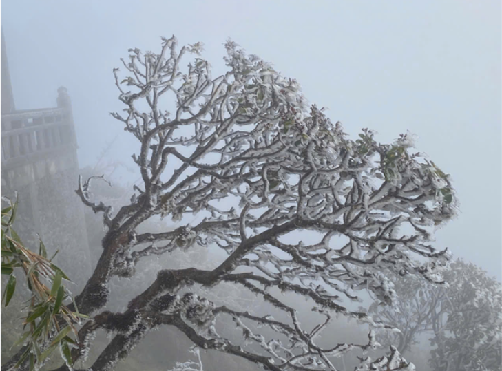 Miền Bắc đ&oacute;n đợt kh&ocirc;ng kh&iacute; lạnh mạnh bao phủ, khi n&agrave;o r&eacute;t đậm đạt đỉnh?- Ảnh 1.