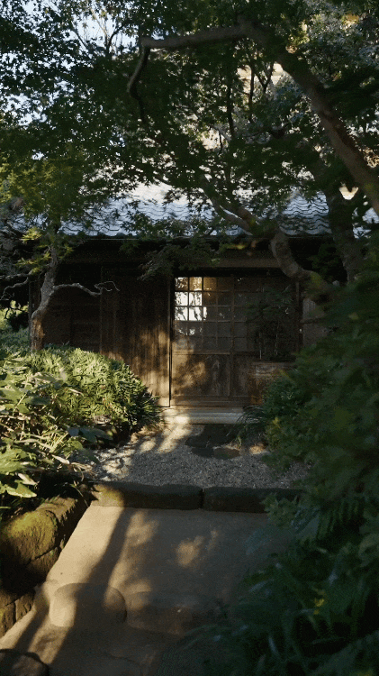 Chuyện t&igrave;nh 25 năm trong căn nh&agrave; gỗ ven biển: Hạnh ph&uacute;c h&oacute;a ra kh&ocirc;ng nằm ở th&agrave;nh tựu, m&agrave; ở chiếc ghế đặt đ&uacute;ng vạt nắng trưa- Ảnh 6.