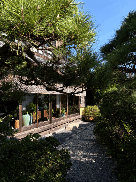 Chuyện t&igrave;nh 25 năm trong căn nh&agrave; gỗ ven biển: Hạnh ph&uacute;c h&oacute;a ra kh&ocirc;ng nằm ở th&agrave;nh tựu, m&agrave; ở chiếc ghế đặt đ&uacute;ng vạt nắng trưa- Ảnh 3.