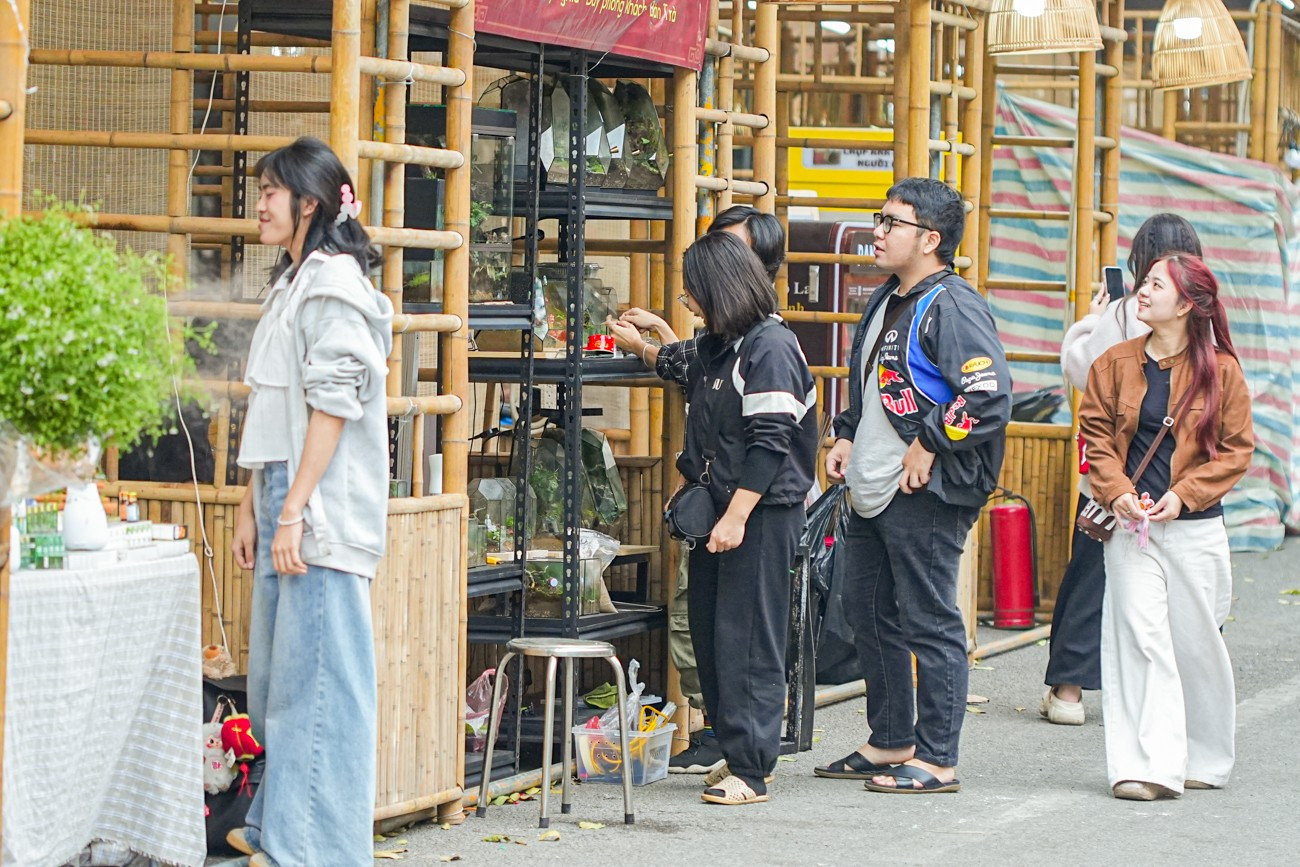 Chợ hoa H&agrave;ng Lược 'đ&aacute;nh thức' Tết B&iacute;nh Ngọ giữa l&ograve;ng phố cổ- Ảnh 4.