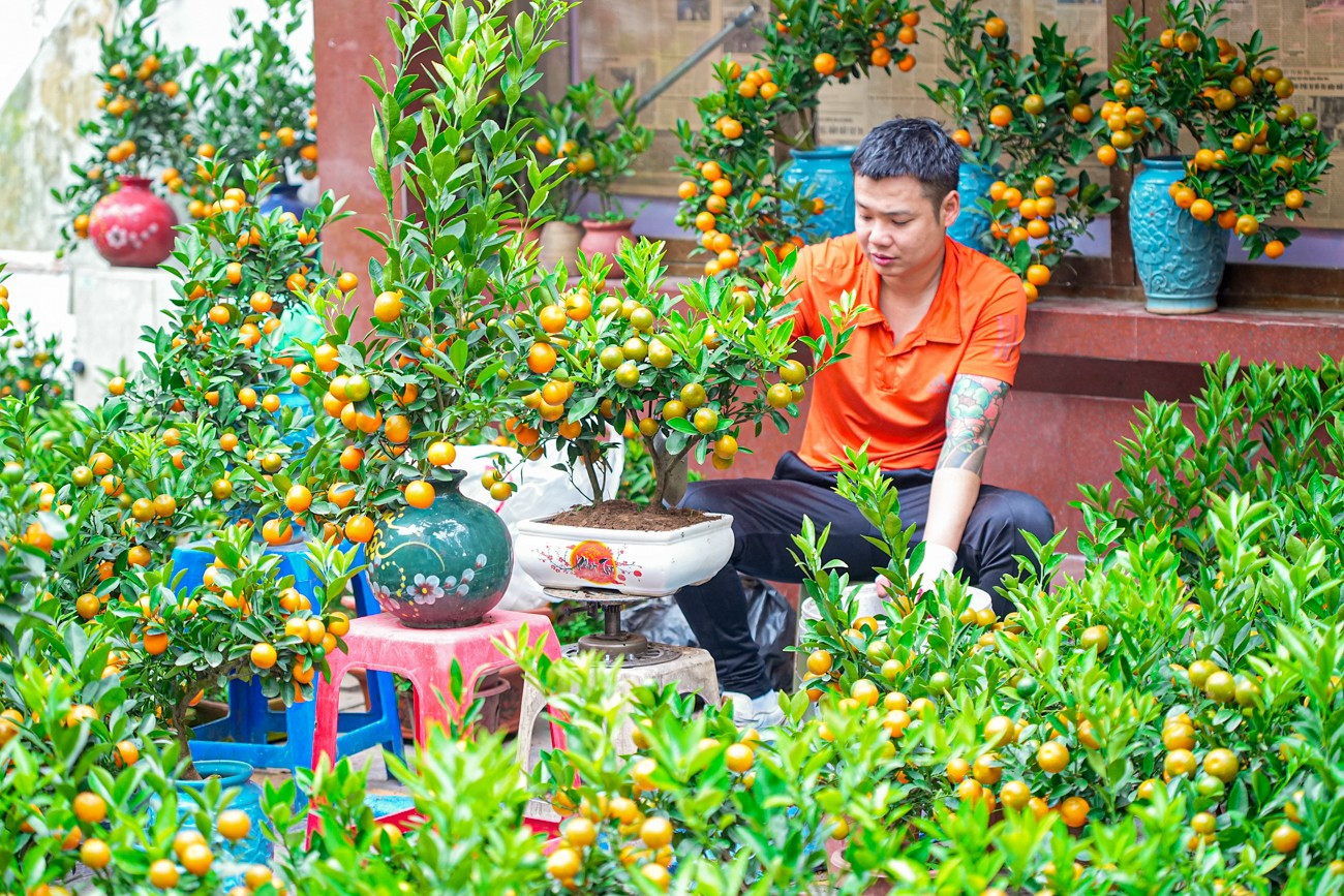 Chợ hoa H&agrave;ng Lược 'đ&aacute;nh thức' Tết B&iacute;nh Ngọ giữa l&ograve;ng phố cổ- Ảnh 14.