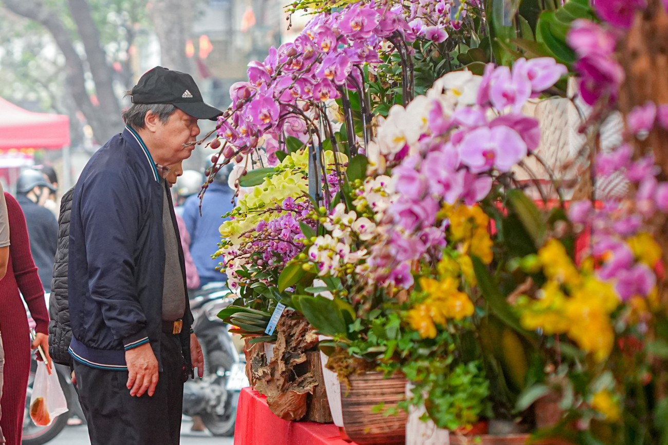 Chợ hoa H&agrave;ng Lược 'đ&aacute;nh thức' Tết B&iacute;nh Ngọ giữa l&ograve;ng phố cổ- Ảnh 12.