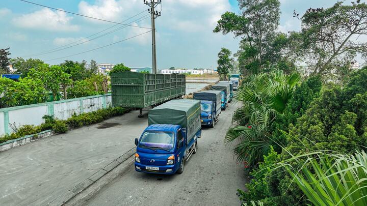 Hải Phòng tiêu hủy hơn 5 tấn giá đỗ ngâm hóa chất, để 1 tháng vẫn tươi- Ảnh 3.