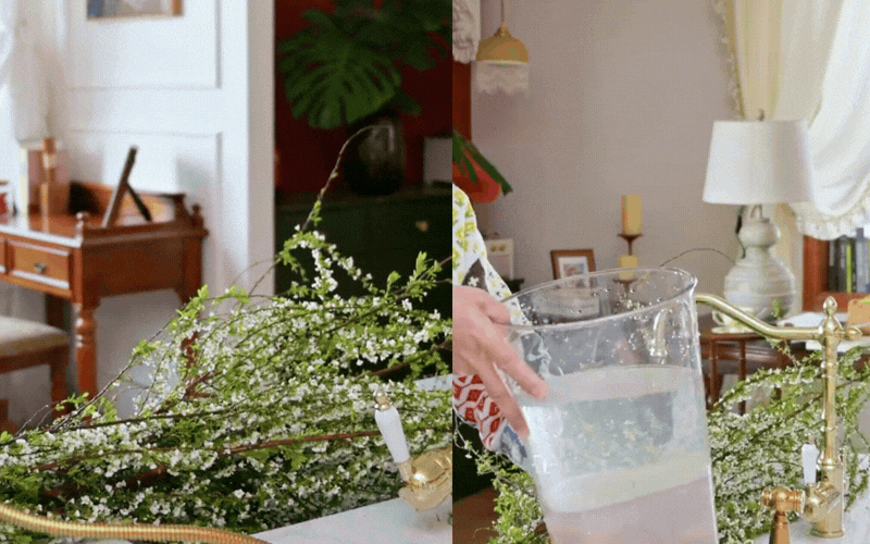 Mẹo giữ hoa tuyết mai tươi r&ograve;ng r&atilde; 2 tuần: Sai lầm "kinh điển" khi thay nước khiến hoa h&eacute;o rũ m&agrave; 90% chị em đang l&agrave;m mỗi ng&agrave;y- Ảnh 9.