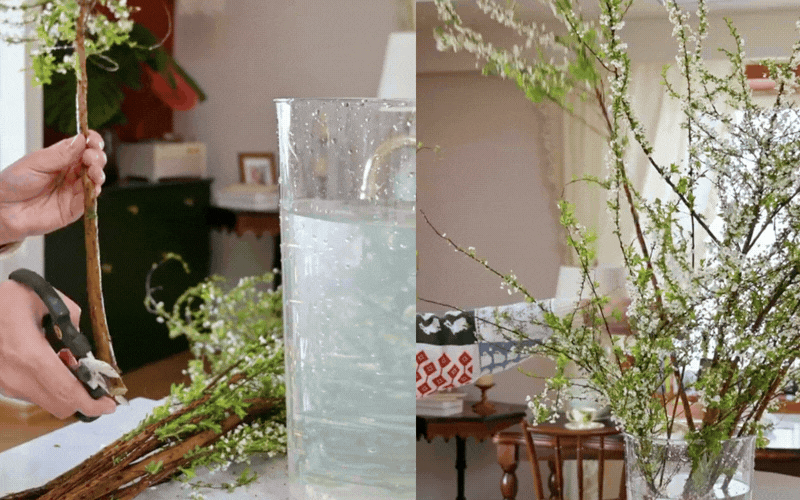 Mẹo giữ hoa tuyết mai tươi r&ograve;ng r&atilde; 2 tuần: Sai lầm "kinh điển" khi thay nước khiến hoa h&eacute;o rũ m&agrave; 90% chị em đang l&agrave;m mỗi ng&agrave;y- Ảnh 10.