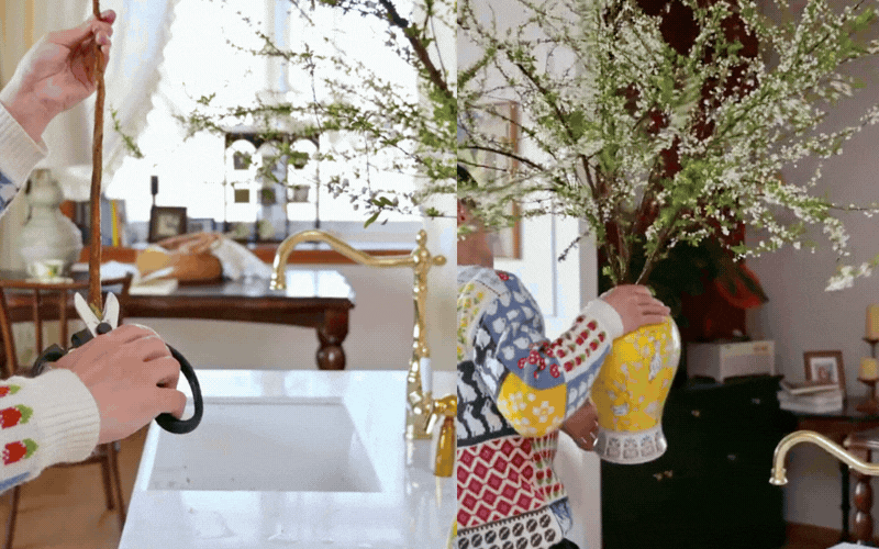 Mẹo giữ hoa tuyết mai tươi r&ograve;ng r&atilde; 2 tuần: Sai lầm "kinh điển" khi thay nước khiến hoa h&eacute;o rũ m&agrave; 90% chị em đang l&agrave;m mỗi ng&agrave;y- Ảnh 12.