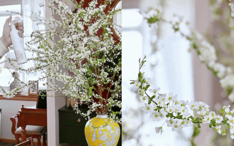 Mẹo giữ hoa tuyết mai tươi r&ograve;ng r&atilde; 2 tuần: Sai lầm "kinh điển" khi thay nước khiến hoa h&eacute;o rũ m&agrave; 90% chị em đang l&agrave;m mỗi ng&agrave;y- Ảnh 13.