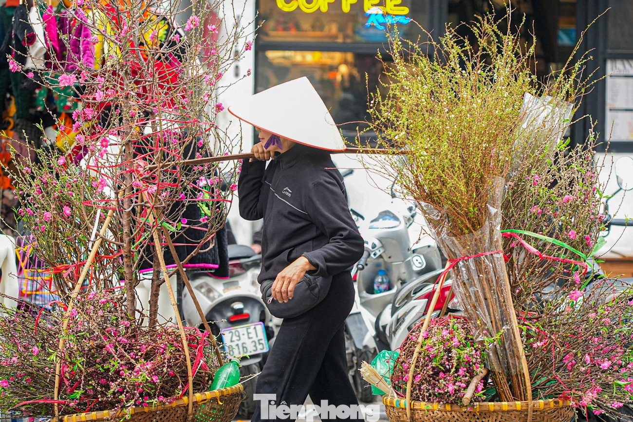 Chợ hoa H&agrave;ng Lược 'đ&aacute;nh thức' Tết B&iacute;nh Ngọ giữa l&ograve;ng phố cổ- Ảnh 19.