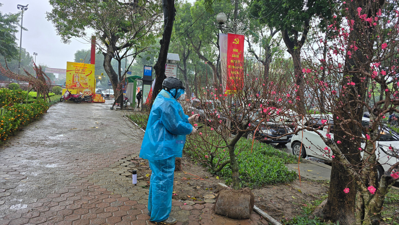 Cận Tết, phố bớt c&acirc;y cảnh tr&agrave;n đường, chợ hoa H&agrave; Nội vẫn vắng kh&aacute;ch- Ảnh 6.