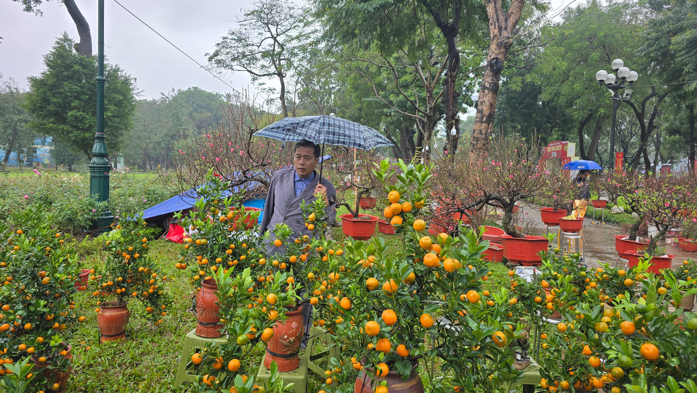 Cận Tết, phố bớt c&acirc;y cảnh tr&agrave;n đường, chợ hoa H&agrave; Nội vẫn vắng kh&aacute;ch- Ảnh 1.