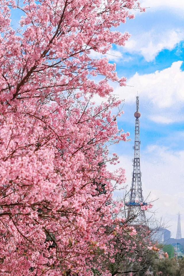 Nơi được v&iacute; như 