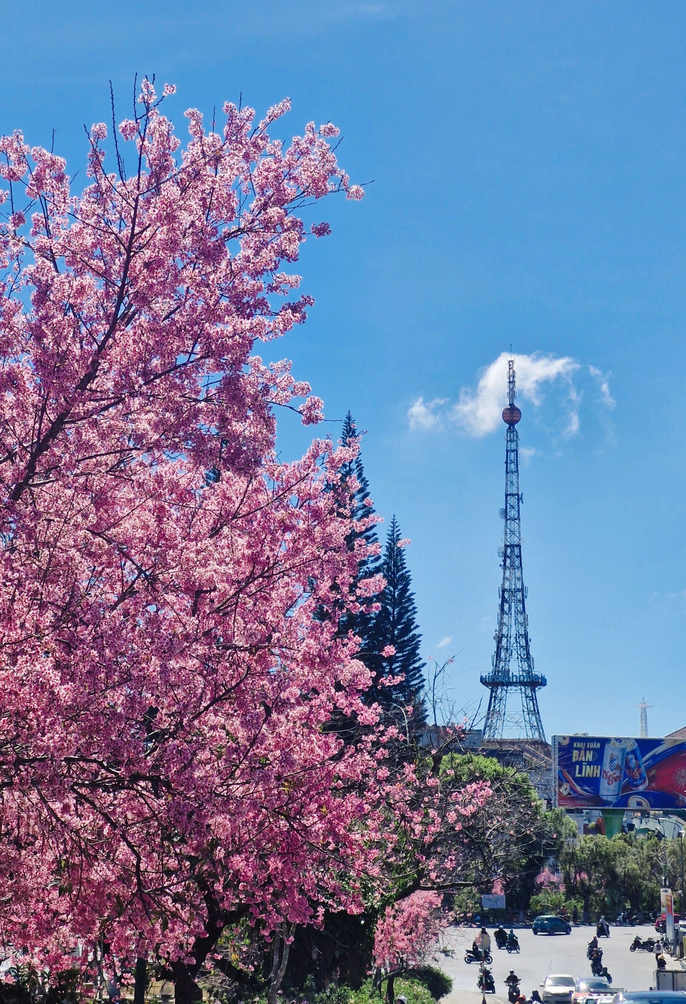 Nơi được v&iacute; như 