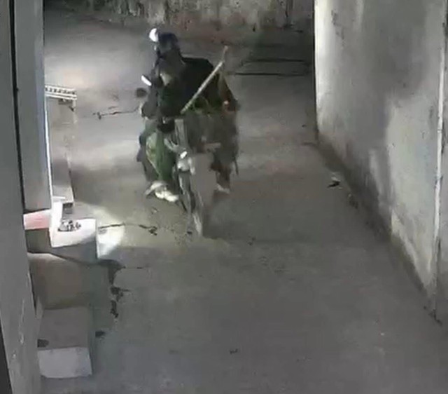 X&ocirc;n xao vụ t&igrave;m thấy m&egrave;o cưng ở l&ograve; mổ, c&ocirc; g&aacute;i kh&oacute;c nghẹn khi chủ qu&aacute;n khăng khăng: "Kh&ocirc;ng chuộc 6 triệu, anh livestream l&agrave;m thịt cho em xem!"- Ảnh 5.