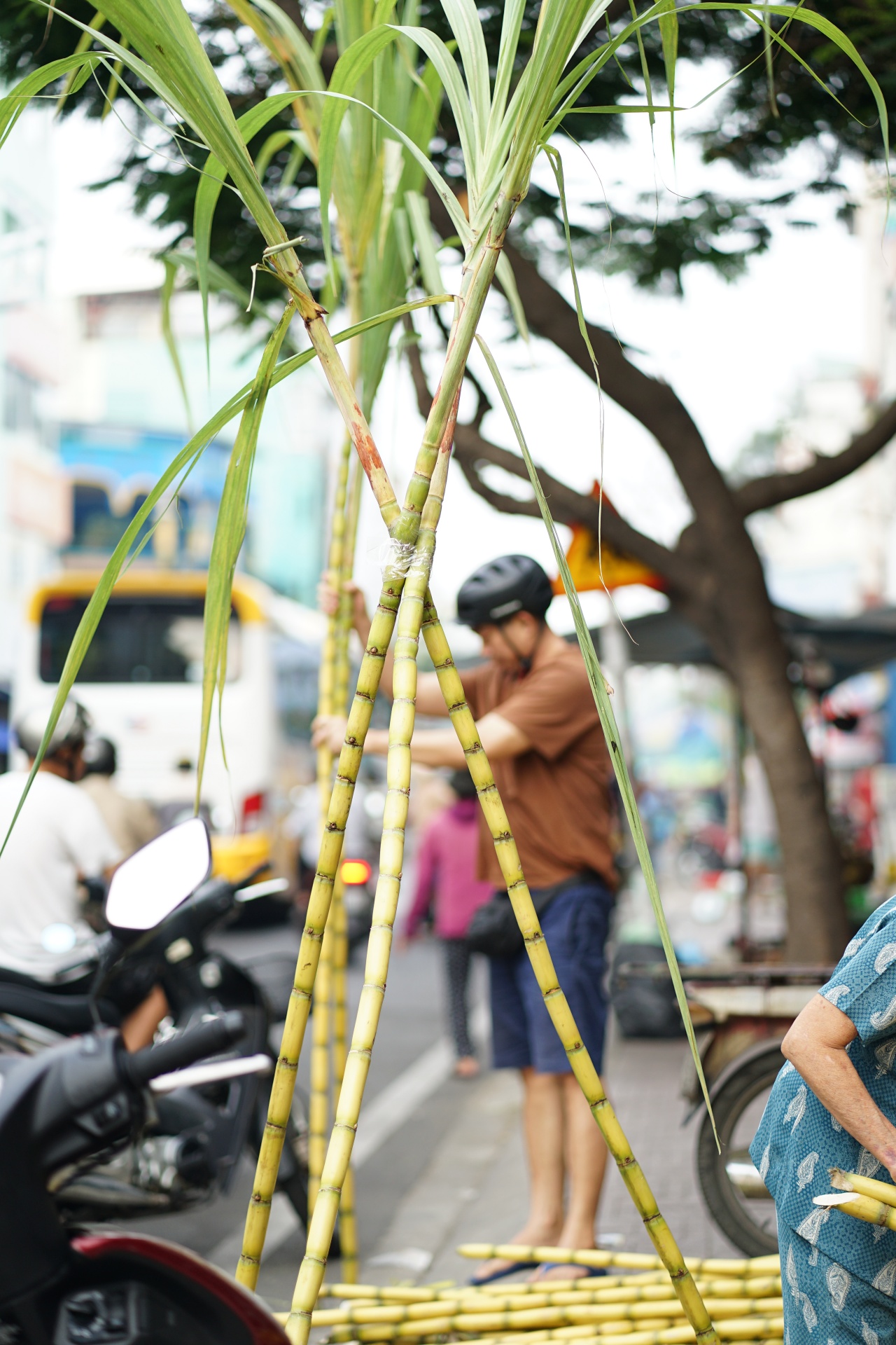 Mía chằng kín xe máy, cá chép đỏ rực bến sông: TP.HCM - Hà Nội rộn ràng tiễn ông Công ông Táo ngày 23 tháng Chạp- Ảnh 1.