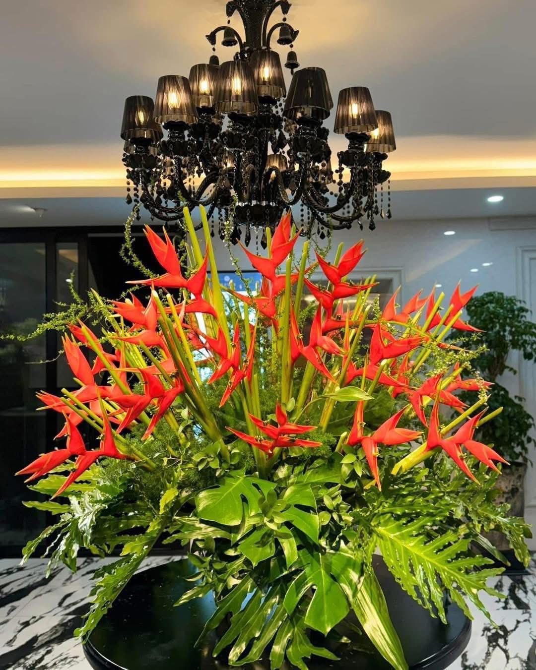 Chuối &eacute;n đỏ được mệnh danh&nbsp;"bảo bối" phong thủy năm Hỏa: Đẹp ma mị, bền cả th&aacute;ng, rước lộc "tiền đồ như gấm", ai nh&igrave;n cũng khen tấm tắc- Ảnh 14.