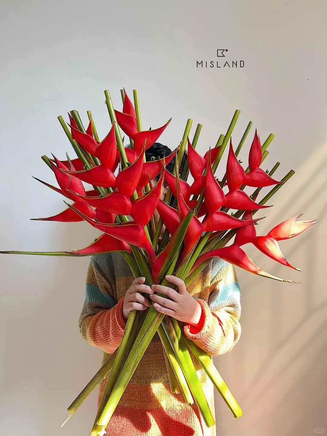 Chuối &eacute;n đỏ được mệnh danh&nbsp;"bảo bối" phong thủy năm Hỏa: Đẹp ma mị, bền cả th&aacute;ng, rước lộc "tiền đồ như gấm", ai nh&igrave;n cũng khen tấm tắc- Ảnh 9.