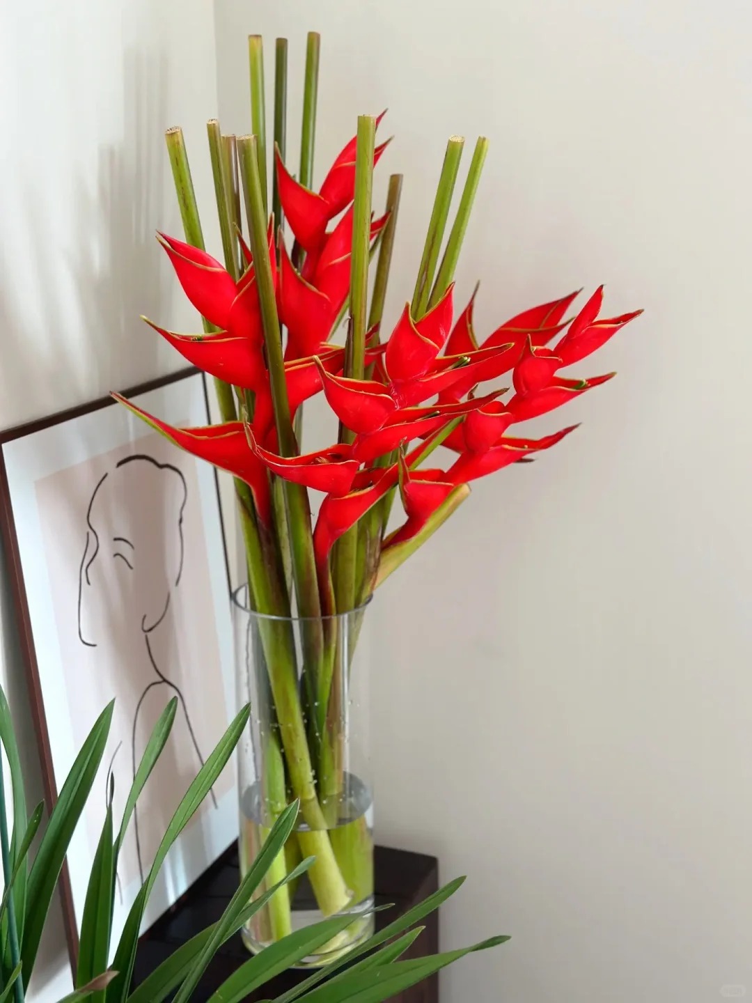 Chuối &eacute;n đỏ được mệnh danh&nbsp;"bảo bối" phong thủy năm Hỏa: Đẹp ma mị, bền cả th&aacute;ng, rước lộc "tiền đồ như gấm", ai nh&igrave;n cũng khen tấm tắc- Ảnh 5.