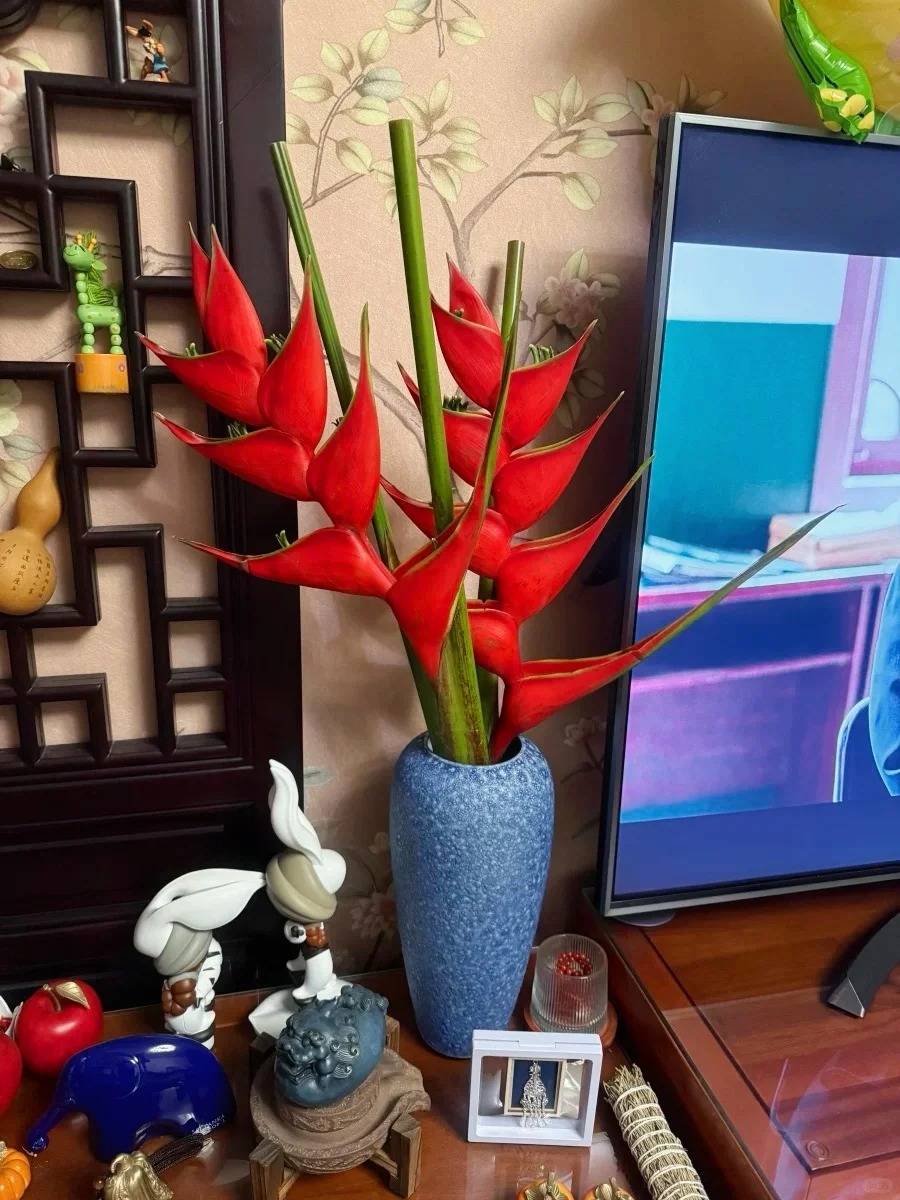 Chuối &eacute;n đỏ được mệnh danh&nbsp;"bảo bối" phong thủy năm Hỏa: Đẹp ma mị, bền cả th&aacute;ng, rước lộc "tiền đồ như gấm", ai nh&igrave;n cũng khen tấm tắc- Ảnh 4.