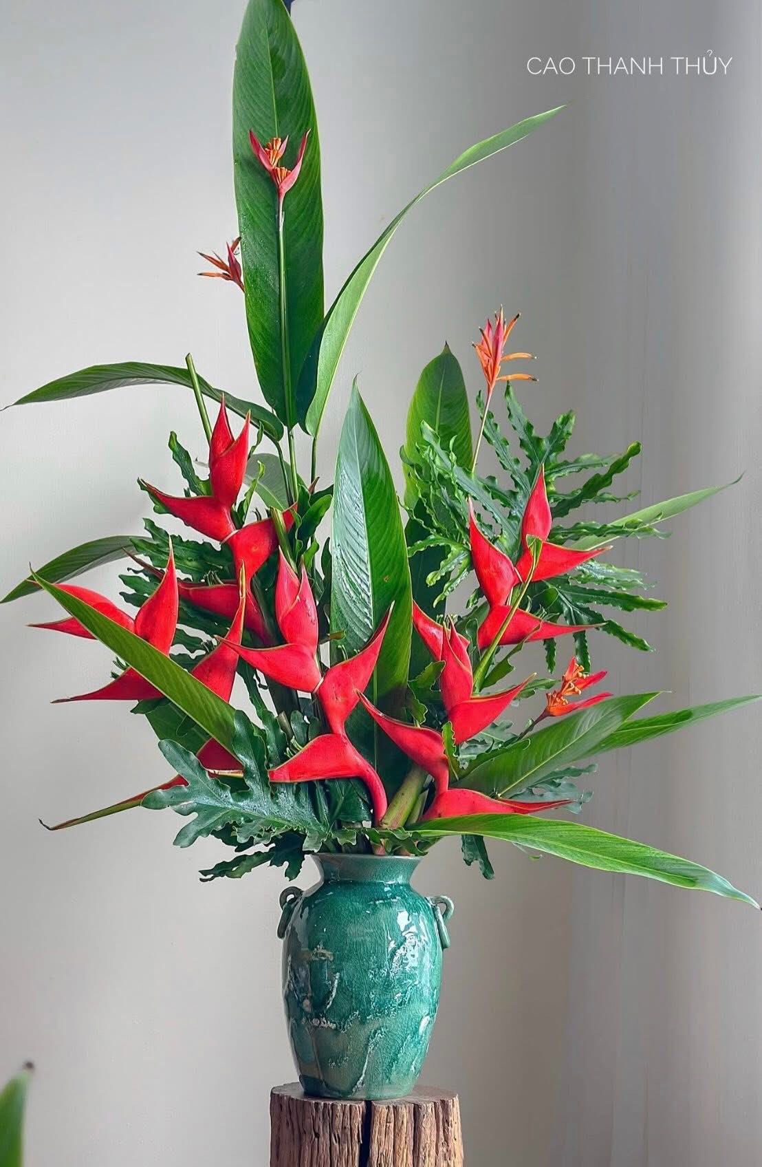 Chuối &eacute;n đỏ được mệnh danh&nbsp;"bảo bối" phong thủy năm Hỏa: Đẹp ma mị, bền cả th&aacute;ng, rước lộc "tiền đồ như gấm", ai nh&igrave;n cũng khen tấm tắc- Ảnh 18.